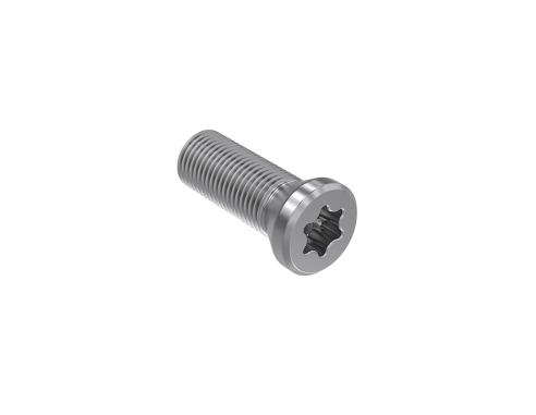 VITE TORX PER FISSAGGIO INSERTO