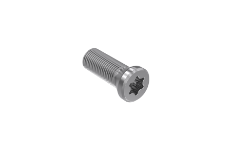 VITE TORX PER FISSAGGIO INSERTO